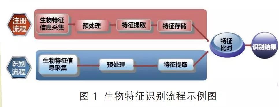 探讨生物特征识别在身份认证的应用安全